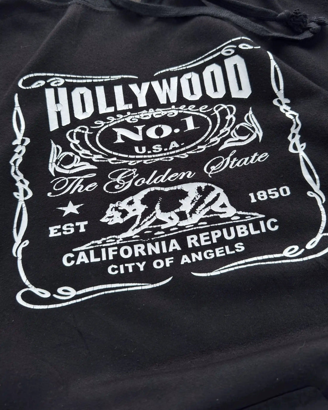 VINTAGE HOLLYWOOD HOODIE