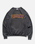 VINTAGE UALBANY CREWNECK